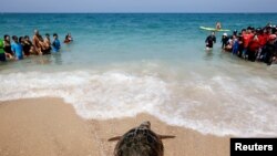 People watch as a loggerhead sea turtle is released back to sea following months recovering from an injury at Israel&#39;s Nature and Park Authority&#39;s National Sea Turtle Rescue Centre, at Palmahim Beach National Park.