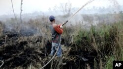 Worker attempts to contain a wildfire razing peatland field in Pedamaran, South Sumatra, Indonesia, Oct. 27, 2015.