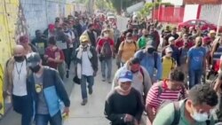 Migran ki Soti Amerik Santral Pran Lari Pou Mande Meksik Legalize Estati yo