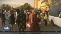 اخبار شامگاهی