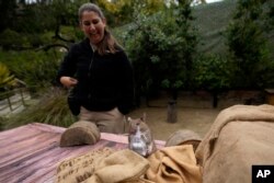 San Diego Zoo wildlife care specialist Lauren Credidio, behind, looks on as Runa, an African giant pouched rat, finds a hidden pouch of chamomile tea during a presentation at the zoo Thursday, April 13, 2023, in San Diego. (AP Photo/Gregory Bull)