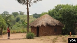 A village on the southern edge of Queen Elizabeth National Park, where crop raiding elephants destroy subsistence farmers' livelihoods, September 28, 2012. (H. Heuler/VOA)