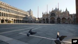 Burung merpati di lapang Santo Markus yang lengang di Venesia, Italia setelah penerapan aturan tinggal di rumah untuk mencegah penularan Covid-19, 6 April 2020.