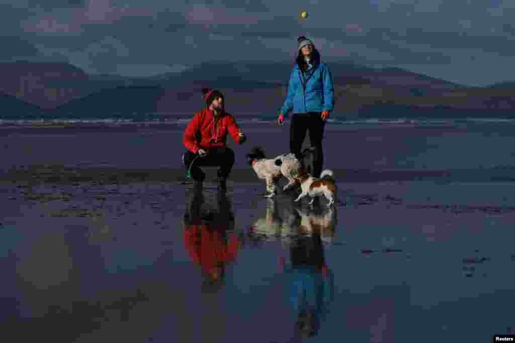 Cathal King, 31, dokter hewan dan Jessica O&rsquo;Connor, 28, mahasiswa kedokteran hewan tahun terakhir di Budapest, berfoto dengan beberapa anjing di Pantai Rossbeigh dekat Desa County Kerry, Rossbeigh, Irlandia, 4 Februari 2018. &ldquo;Kami bertemu saat bermain rugby di Killarney. Kami berdua orang yang aktif. Kami mengikuti kompetisi petualangan, hiking dan senang jalan-jalan. Kami sudah bersama 3.5 tahun. Saya besar di Rossbeigh, jadi itu alasan utama kami di sini,&rdquo; kata Cathal. Anjing-anjingnya antara lain anjing Spaniel milik mereka bernama Indi, dan Pipa, Jack Russel, anjing ibu Jessica.