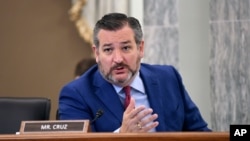 ABD'li Cumhuriyetçi Senatör Ted Cruz