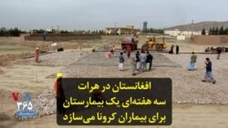 افغانستان در هرات سه هفته‌ای یک بیمارستان برای بیماران کرونا می‌سازد