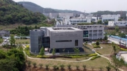 An aerial view shows the P4 laboratory at the Wuhan Institute of Virology in Wuhan in China's central Hubei province, April 17, 2020.