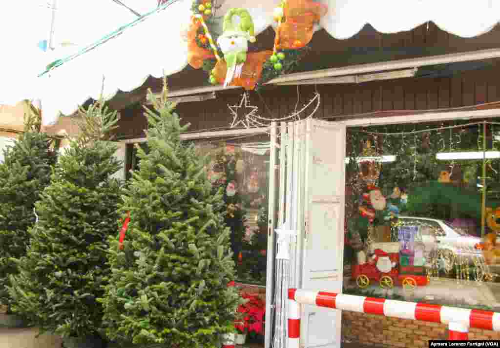 La entrega de divisas para importar, a discreción del gobierno, no tiene las mismas restricciones para todos los rubros, porque antes de que llegue diciembre ya se ven en las calles pinos importados para adornar la navidad.