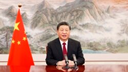 VOA连线：胡平 习近平对市场和民营经济的管控是对改革开放的倒退