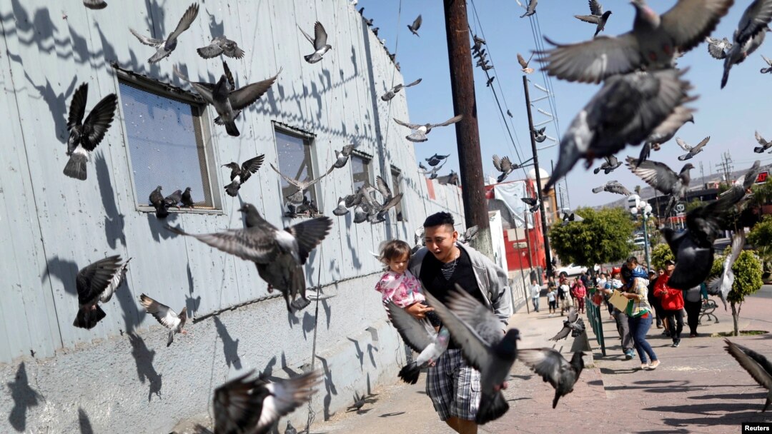 Seorang pria dan anak perempuannya, yang ikut dalam rombongan 'kafilah' dari Amerika Tengah, lari melalui perbatasan Meksiko sebelum persiapan pengajuan pencari suaka di AS, di Tijuana, Baja, California, Meksiko, 28 April 2018.