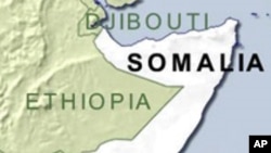 Somali Rebels Carry Out Amputations on Robbery Suspects