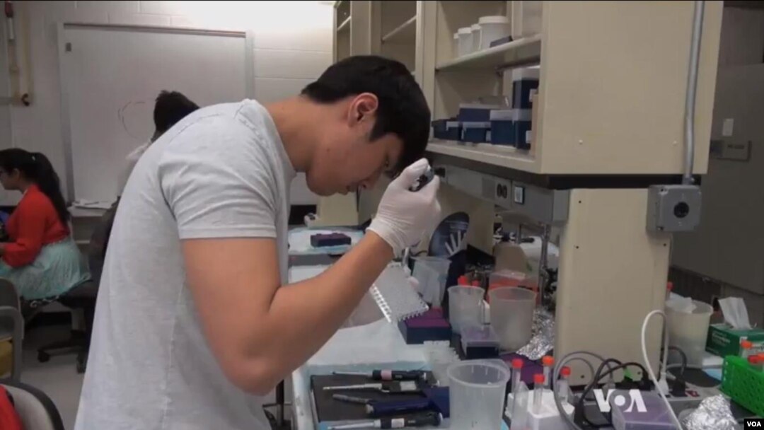 Laboratorija na Univerzitetu Džons Hopkins gde studenti nižu veštački DNK.