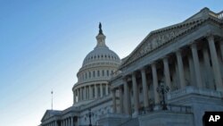 امریکہ میں 2010کانگریس کے انتخاب کا سال