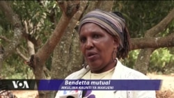 Mkulima Kenya aeleza hasara inayoletwa na nzi wanaoharibu maembe