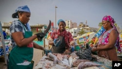 FILE —Fishmongers cut and clean fish at the Soumbedioune fish market in Dakar, Senegal, May 31, 2022. In Senegal, fish and seafood represent more than 40% of the animal protein intake in the diet. According to a U.S. report, one in six people work in the fisheries sector.
