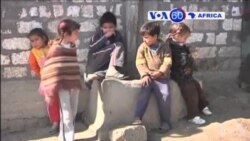 Manchetes Africanas 29 Janeiro 2015