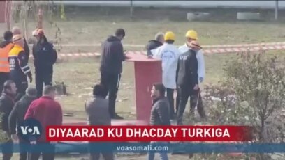 Dad ku dhintay diyaarad ku dhacday Turkey