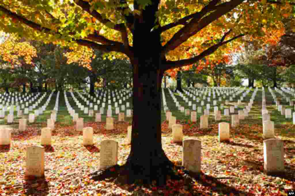 Fall leaves lay among the gravestones at Arlington National Cemetery in Arlington, Va., Thursday, Oct. 28, 2010. (AP Photo/Jacquelyn Martin)