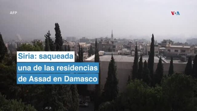 Videos muestran cómo han sido saqueados los palacios de Assad en Siria Videos muestran cómo han sido saqueados los palacios de Assad en Siria