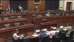 အောက်လွှတ်တော် လူ့အခွင့်အရေးဆိုင်ရာ ကြားနာပွဲ