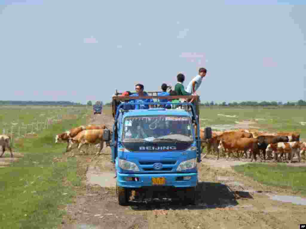 義工車隊經過科爾沁草原地區
