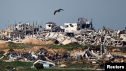 ARCHIVO - Un pájaro vuela sobre edificios destruidos en el norte de Gaza, en medio de un alto el fuego entre Israel y Hamás, visto desde Israel, el 2 de marzo de 2025. 