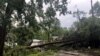 Según reportes, más de 150.000 viviendas desde Texas hasta Georgia quedaron sin energía eléctrica debido al mal clima.