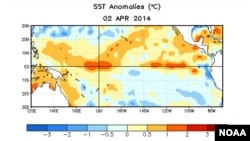 Warm spots are beginning to appear on the surface of the tropical Pacific Ocean near South America. More warm water below the surface suggests El Niño is probably on the way. 