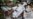 In Philippines, Deaths of 3 Children Linked to Dengue Vaccine