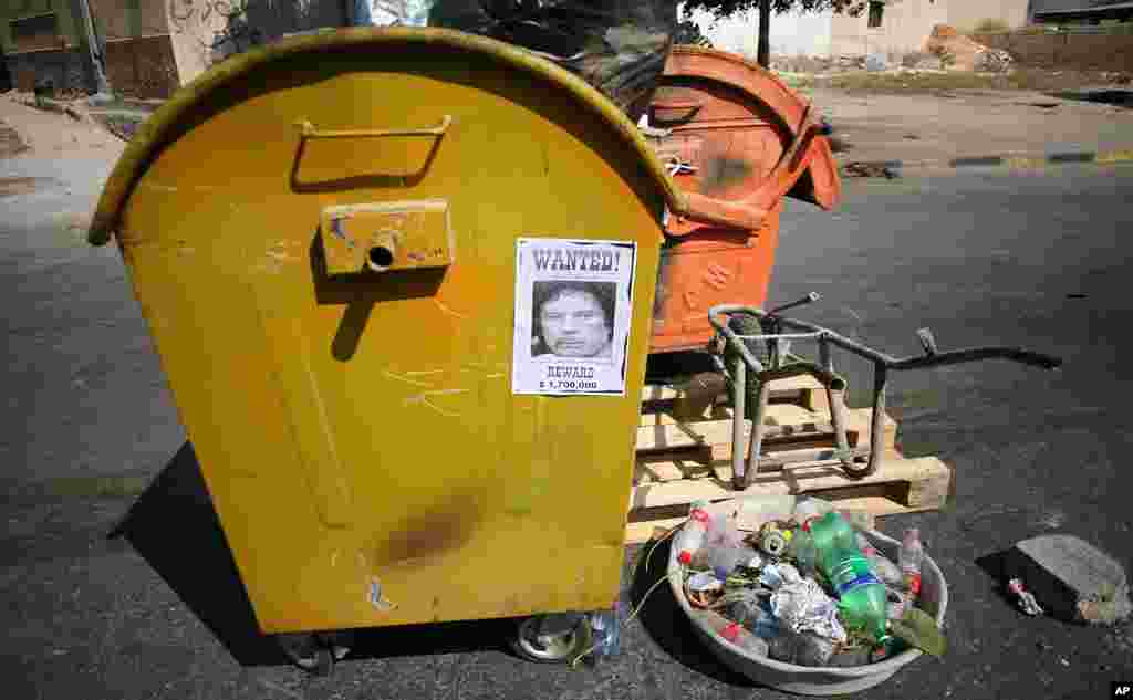[급변하는 리비아] 시민군 트리폴리 입성, 가다피 잠적