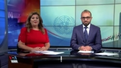 Bernameya Taybet Derbarê Xula 81'an a Civînên Civata Giştî ya NY