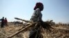 Life Not So Sweet for Nigerian Sugar Farmers