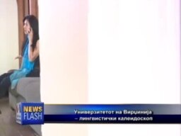 Лингвистички калеидоскоп