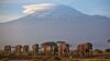 En esta fotografía de archivo del lunes 17 de diciembre de 2012, una manada de elefantes adultos y bebés camina a la luz del amanecer mientras la montaña más alta de África, el monte Kilimanjaro en Tanzania, se asienta con nieve en el fondo, visto desde el Parque Nacional Ambosel