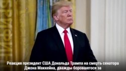 Джон Маккейн и Дональд Трамп