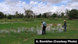 FILE - Researcher and field assistant taking measurements on a puddle in Zindarou, southwestern Niger. Niger is among the world's poorest countries and consistently ranked bottom of the U.N. Human Development Index.