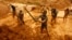 Artisanal miners dig for gold in an open-pit concession near Dunkwa, western Ghana, Feb. 15, 2011.