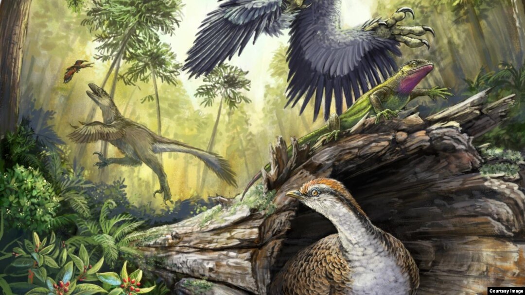A number of bird-like dinosaurs reconstructed in their environment in the Hell Creek Formation at the end of the Cretaceous. Middle ground and background: two different dromaeosaurid species hunting vertebrate prey (a lizard and a toothed bird). Foreground.