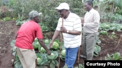 IFAD President Kanayo Nwanze visits a farmer in Kenya. Credit: IFAD