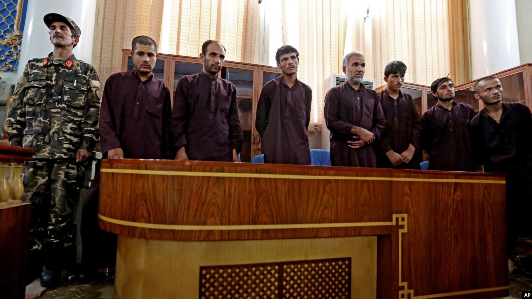 محکومین حق مرافعه طلبی دارند