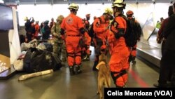 En la foto, el equipo de rescate enviado por Panamá a México tras el terremoto de 7.1 con epicentro en límite entre Puebla y Morelos.