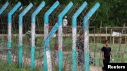 A Rohingya refugee girl walks past a camp border fence at a refugee camp, in Cox's Bazar