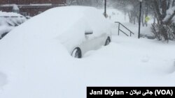 Washington DC Snow