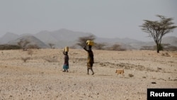 FILE - Turkana people carry water near Lodwar, in Turkana County, Kenya, Feb. 7, 2018. 