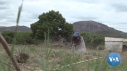 WFP Sees $200 Million Gap as Food Insecurity Rises in Zimbabwe