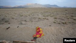 Les abords du Lac Turkana, région où les paléontologues ont trouvé une hémimandibule d'Epirigenys lokonensis