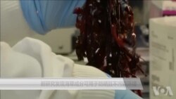 新研究发现海草成分可用于防晒且不污染环境