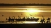 In this Sept. 3, 2002 file photo, birds find refuge at sunset on the surface of the Salton Sea, one of the largest stops for migratory birds in North America. (AP Photo/Reed Saxon, File)