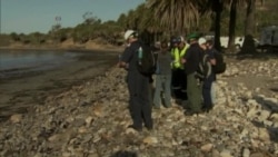 Effort Underway to Limit Damage from California Oil Spill