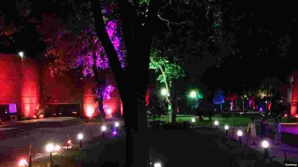 نمائش میں 419 نوجوان فن کاروں کے فن پارے شامل ہیں۔ ان میں 299 لڑکیاں اور 120 لڑکے ہیں۔ نمائش میں مجموعی طور پر 500 فن پارے نمائش کے لیے پیش کیے گئے ہیں۔ &nbsp;